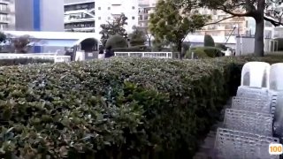 色妞精品视频一区二区|亚洲精品99久久久久中文字幕